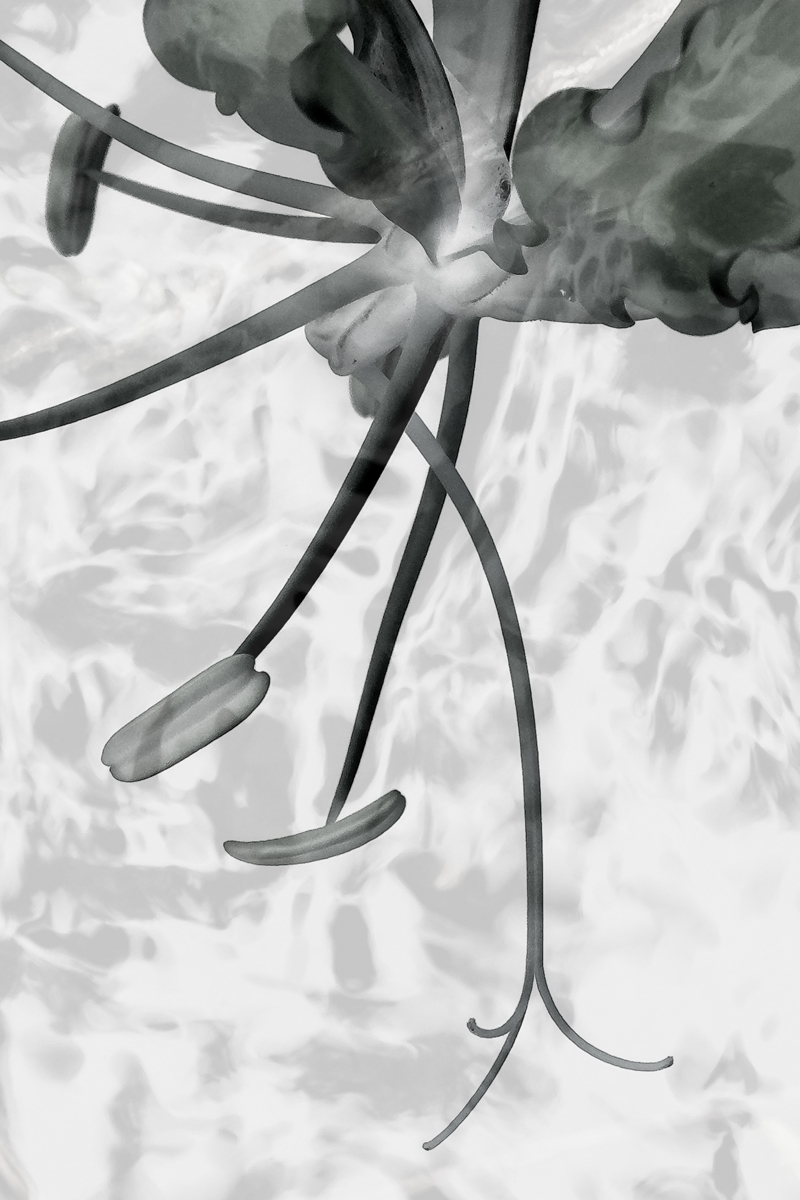 helene infiniteflow 3